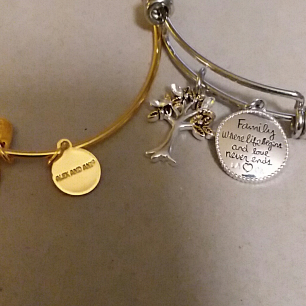 Two Charm Bracelets - Picture 4 of 4